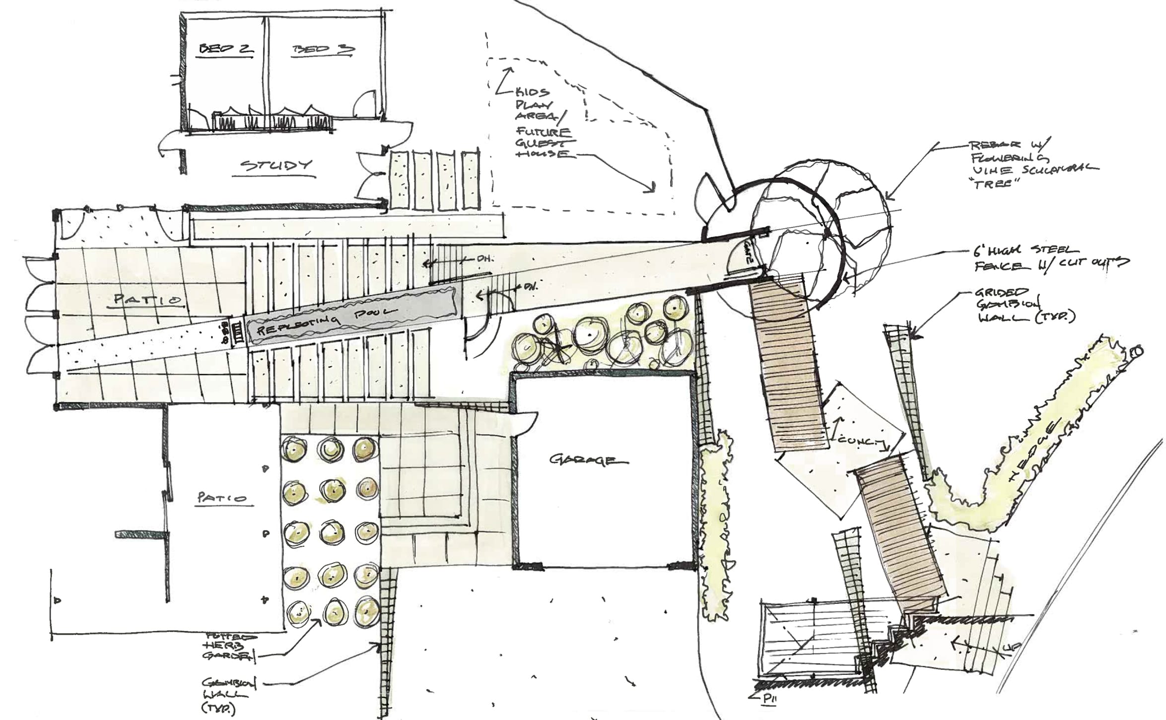 Hand drawn Drought Tolerant Landscape Design
